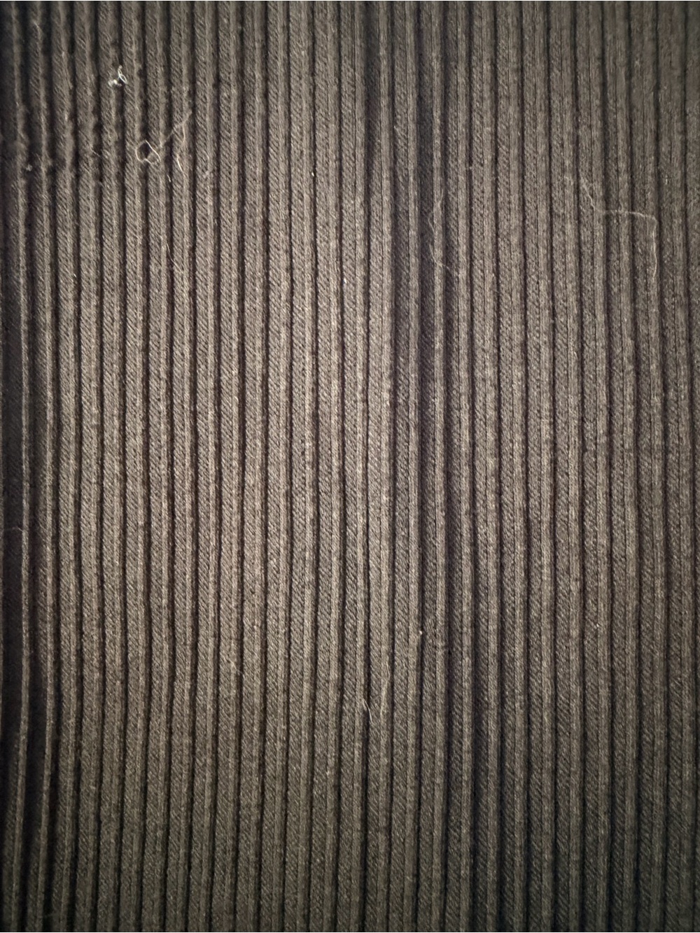 LOFT Ribbed Bodysuit - Picture 2 of 6
